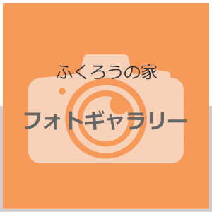 フォトギャラリー